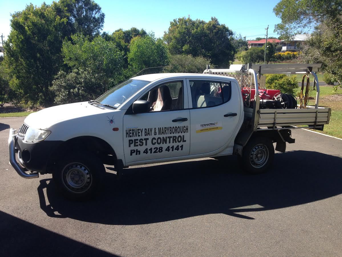 Pest Inspections Hervey Bay Hervey Bay & Maryborough Pest Control
